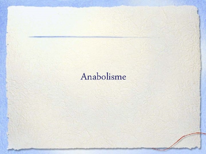 Anabolisme 