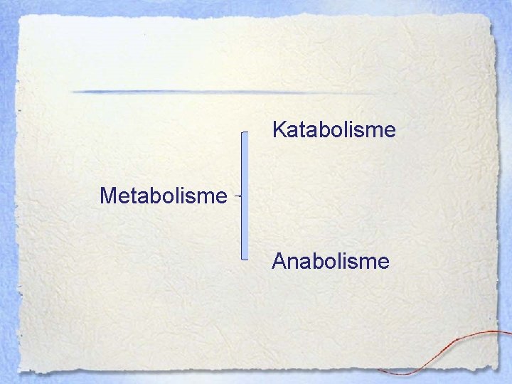 Katabolisme Metabolisme Anabolisme 