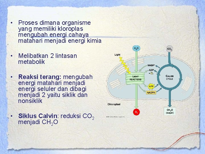  • Proses dimana organisme yang memiliki kloroplas mengubah energi cahaya matahari menjadi energi