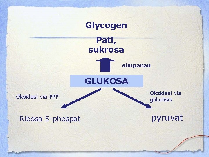 Glycogen Pati, sukrosa simpanan GLUKOSA Oksidasi via PPP Ribosa 5 -phospat Oksidasi via glikolisis