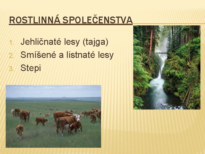 ROSTLINNÁ SPOLEČENSTVA 1. 2. 3. Jehličnaté lesy (tajga) Smíšené a listnaté lesy Stepi 