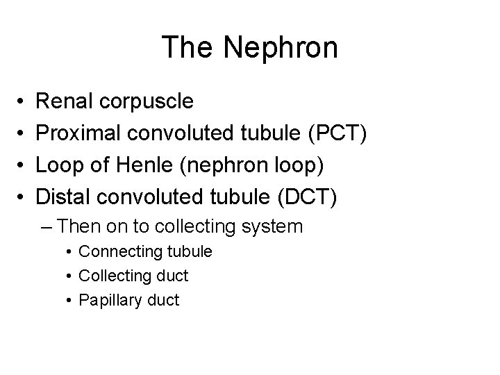 The Nephron • • Renal corpuscle Proximal convoluted tubule (PCT) Loop of Henle (nephron