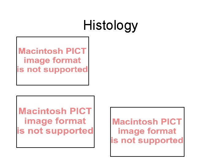 Histology 