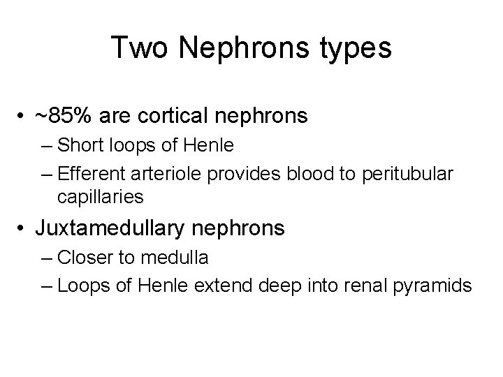 Two Nephrons types • ~85% are cortical nephrons – Short loops of Henle –