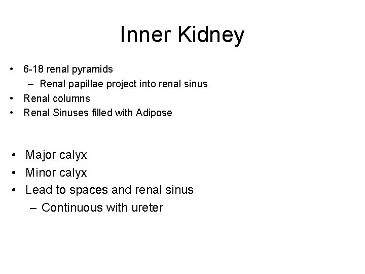 Inner Kidney • 6 -18 renal pyramids – Renal papillae project into renal sinus