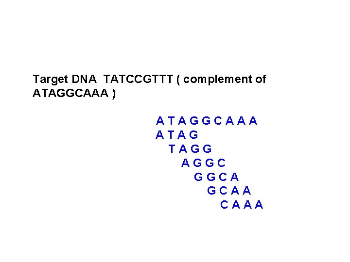 Target DNA TATCCGTTT ( complement of ATAGGCAAA ) ATAGGCAAA ATAG TAGG AGGC GGCA GCAA
