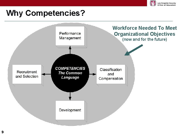 Why Competencies? Workforce Needed To Meet Organizational Objectives (now and for the future) 9