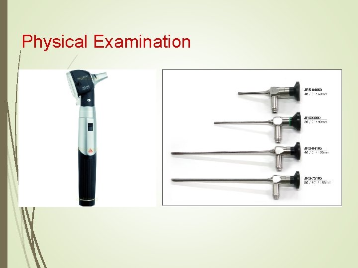 Physical Examination 