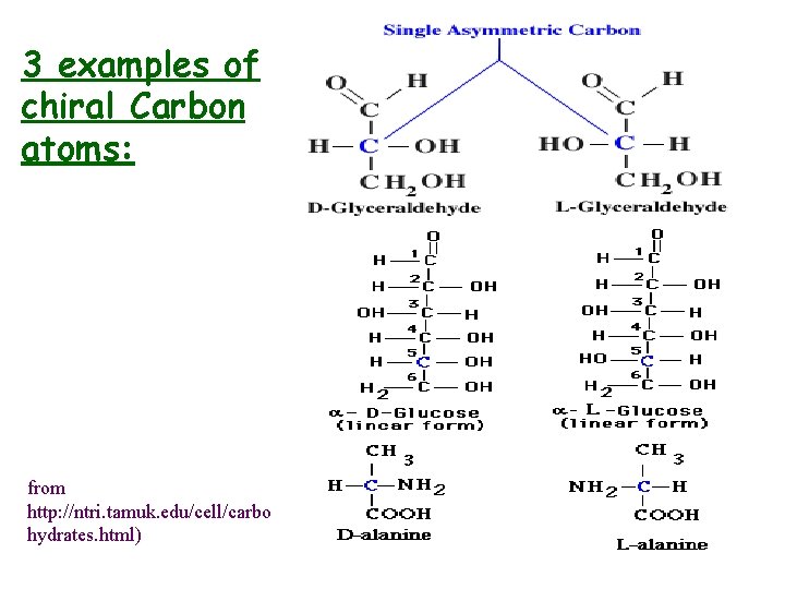 3 examples of chiral Carbon atoms: from http: //ntri. tamuk. edu/cell/carbo hydrates. html) 