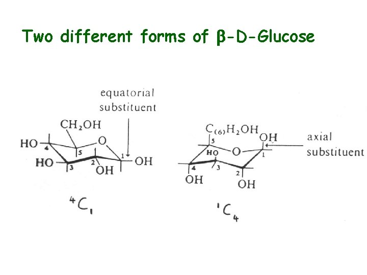 Two different forms of b-D-Glucose 