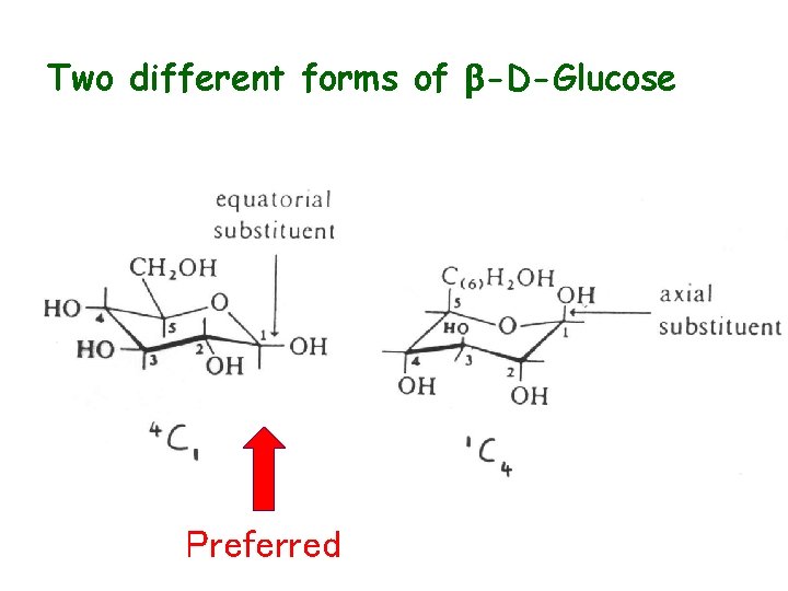 Two different forms of b-D-Glucose Preferred 