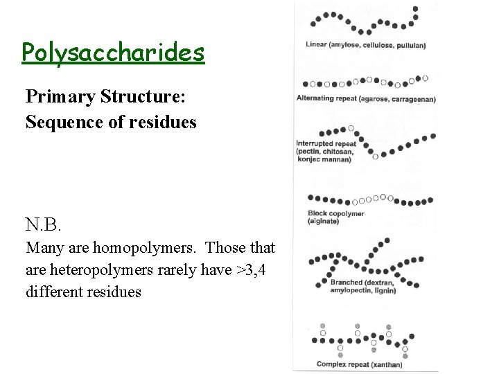 Polysaccharides Primary Structure: Sequence of residues N. B. Many are homopolymers. Those that are