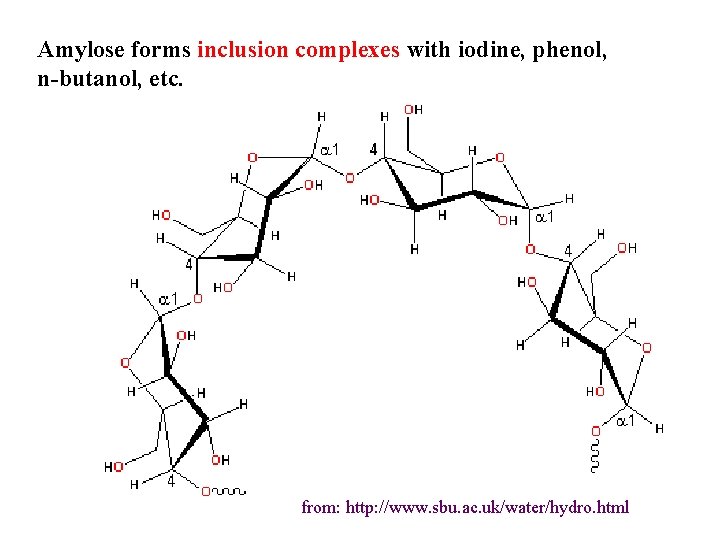 Amylose forms inclusion complexes with iodine, phenol, n-butanol, etc. from: http: //www. sbu. ac.