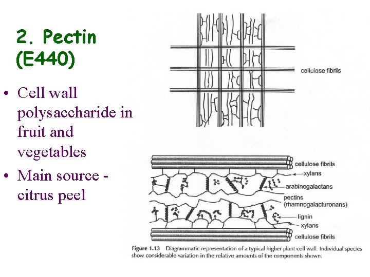 2. Pectin (E 440) • Cell wall polysaccharide in fruit and vegetables • Main