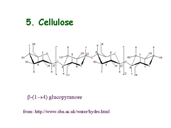 5. Cellulose b-(1 4) glucopyranose from: http: //www. sbu. ac. uk/water/hydro. html 