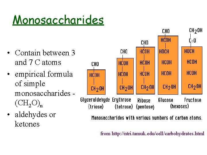 Monosaccharides • Contain between 3 and 7 C atoms • empirical formula of simple