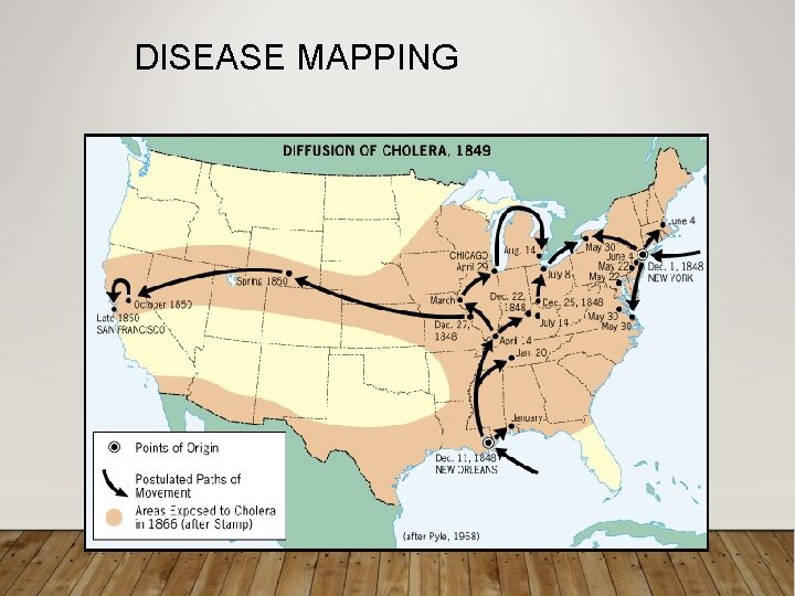 DISEASE MAPPING 