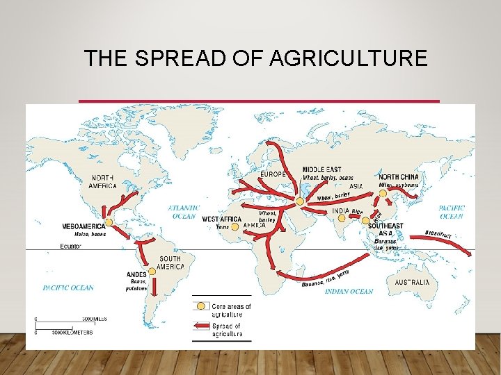 THE SPREAD OF AGRICULTURE 