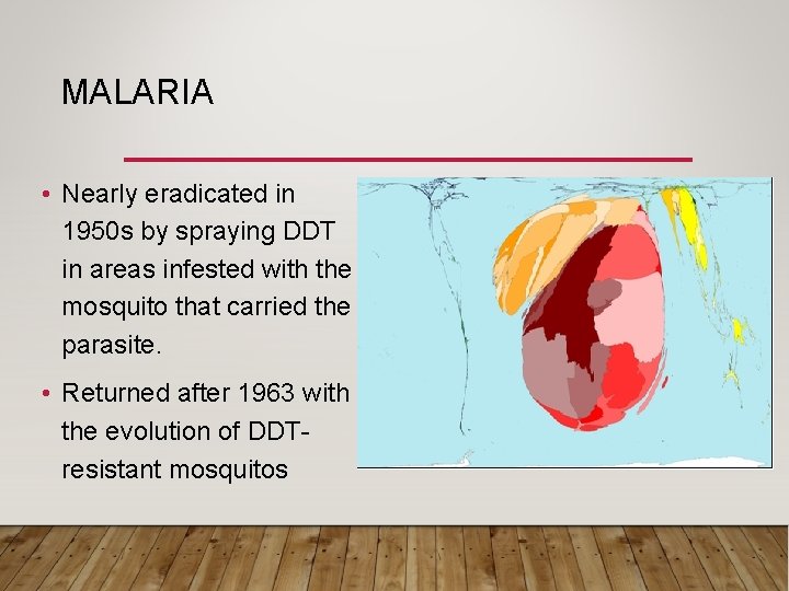 MALARIA • Nearly eradicated in 1950 s by spraying DDT in areas infested with