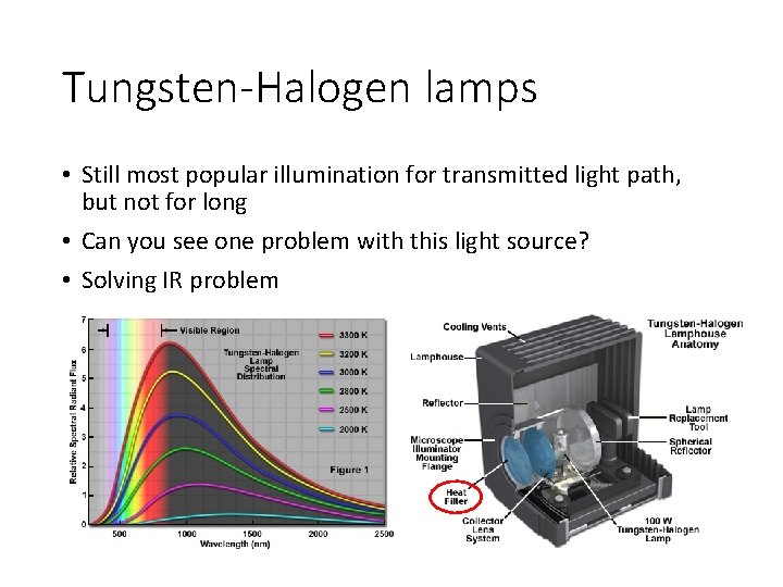 Tungsten-Halogen lamps • Still most popular illumination for transmitted light path, but not for