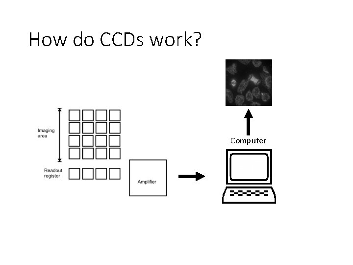 How do CCDs work? Computer 
