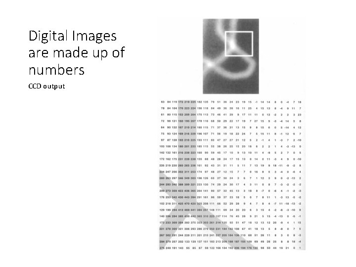 Digital Images are made up of numbers CCD output 