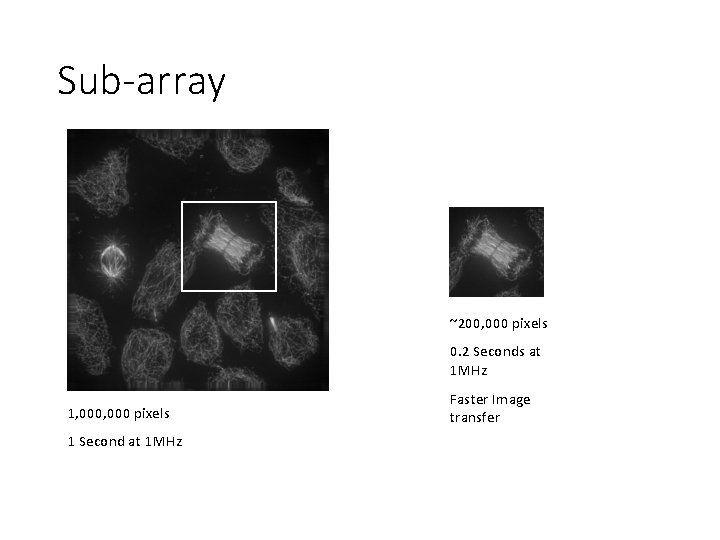 Sub-array ~200, 000 pixels 0. 2 Seconds at 1 MHz 1, 000 pixels 1