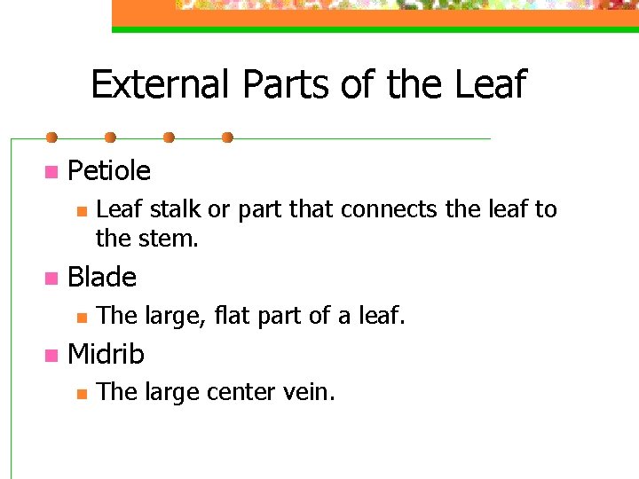 External Parts of the Leaf n Petiole n n Blade n n Leaf stalk