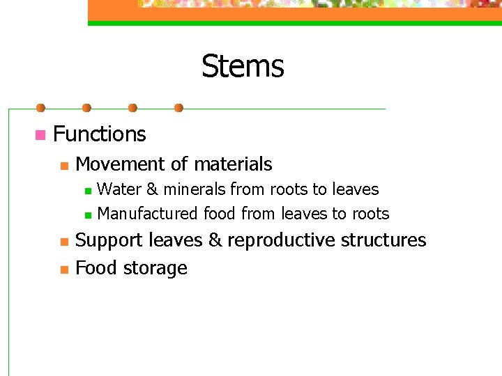 Stems n Functions n Movement of materials Water & minerals from roots to leaves