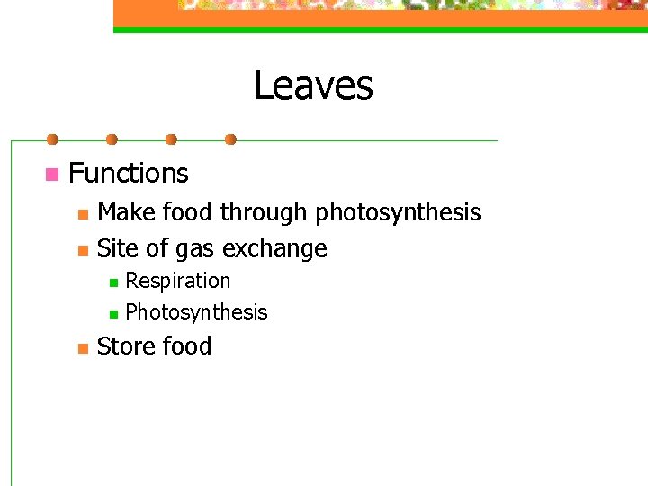 Leaves n Functions n n Make food through photosynthesis Site of gas exchange Respiration