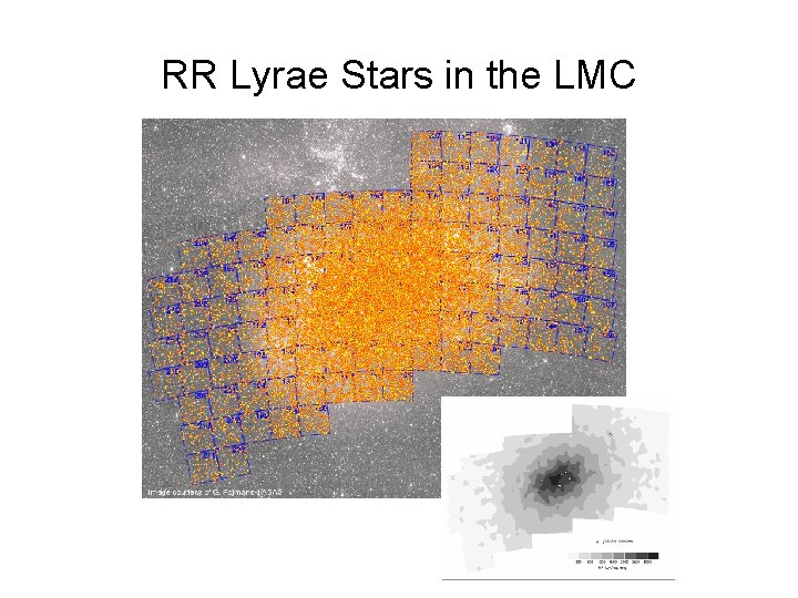 RR Lyrae Stars in the LMC 