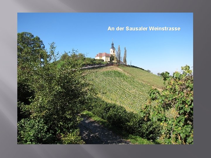 An der Sausaler Weinstrasse 