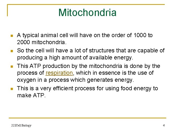 Mitochondria n n A typical animal cell will have on the order of 1000