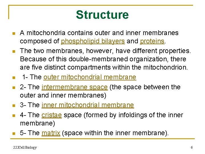 Structure n n n n A mitochondria contains outer and inner membranes composed of