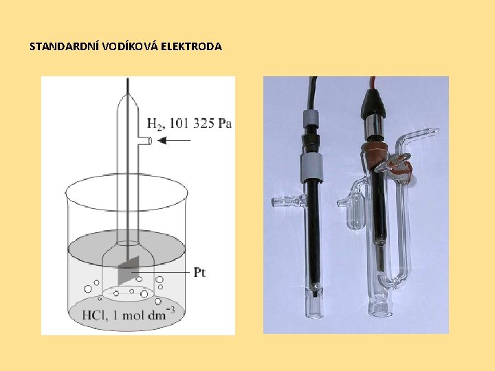 STANDARDNÍ VODÍKOVÁ ELEKTRODA 