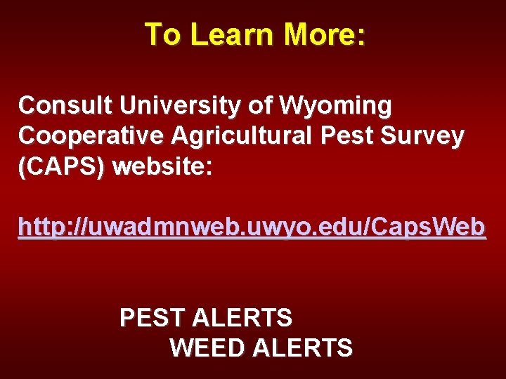 To Learn More: Consult University of Wyoming Cooperative Agricultural Pest Survey (CAPS) website: http: