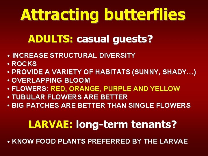 Attracting butterflies ADULTS: casual guests? INCREASE STRUCTURAL DIVERSITY • ROCKS • PROVIDE A VARIETY