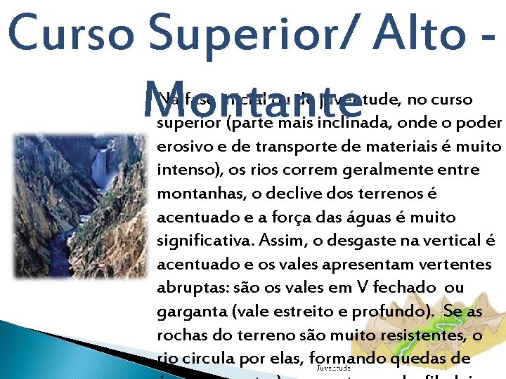 Curso Superior/ Alto Montante Na fase inicial ou de juventude, no curso superior (parte