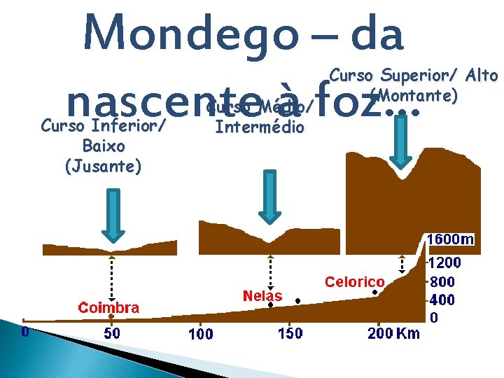 Mondego – da nascente à foz… Curso Inferior/ Baixo (Jusante) Curso Médio/ Intermédio Curso