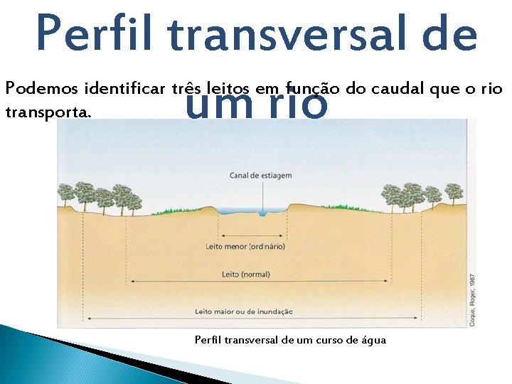 Perfil transversal de um rio Podemos identificar três leitos em função do caudal que