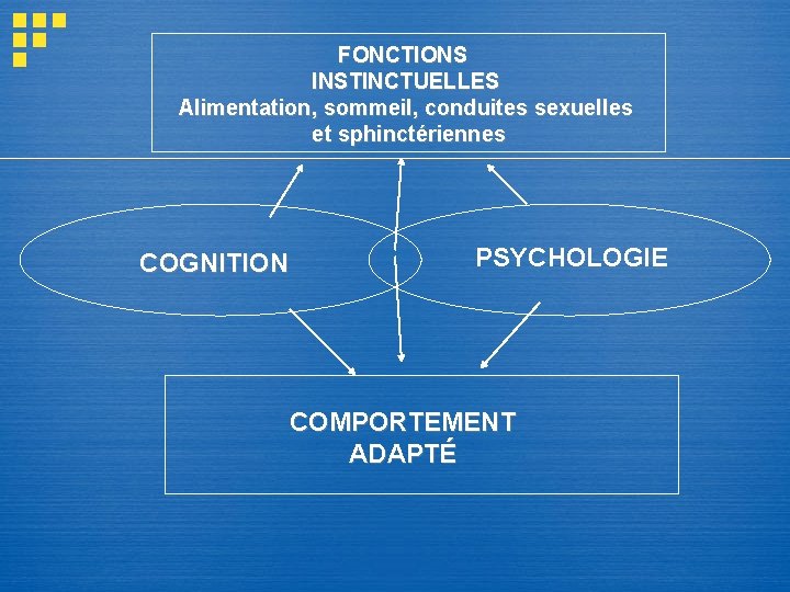 FONCTIONS INSTINCTUELLES Alimentation, sommeil, conduites sexuelles et sphinctériennes COGNITION PSYCHOLOGIE COMPORTEMENT ADAPTÉ FONCTIONS INSTINCTUELLES Alimentation, sommeil, conduites sexuelles et sphinctériennes COGNITION PSYCHOLOGIE COMPORTEMENT ADAPTÉ
