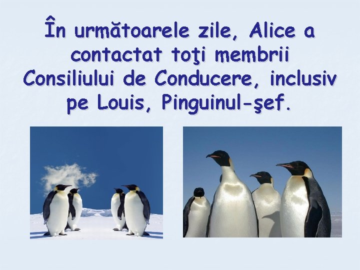 În următoarele zile, Alice a contactat toţi membrii Consiliului de Conducere, inclusiv pe Louis,