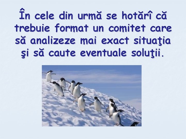 În cele din urmă se hotărî că trebuie format un comitet care să analizeze