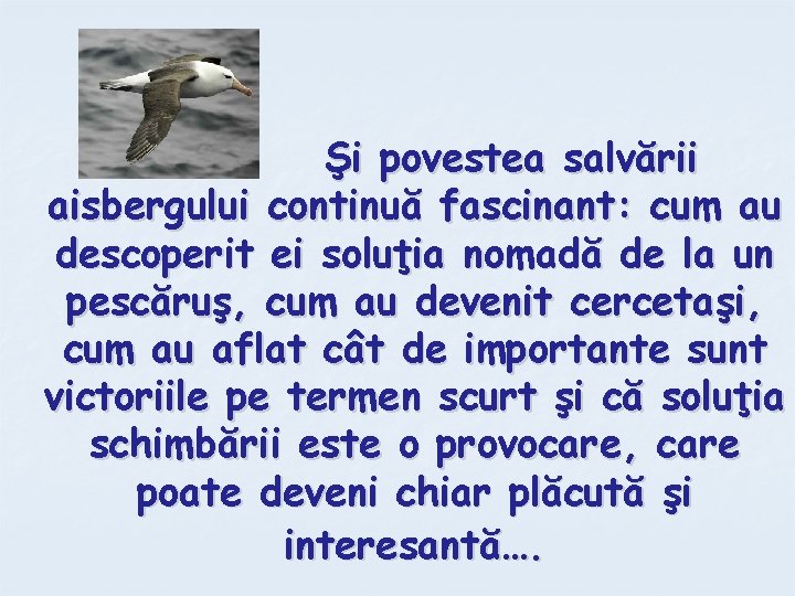 Şi povestea salvării aisbergului continuă fascinant: cum au descoperit ei soluţia nomadă de la