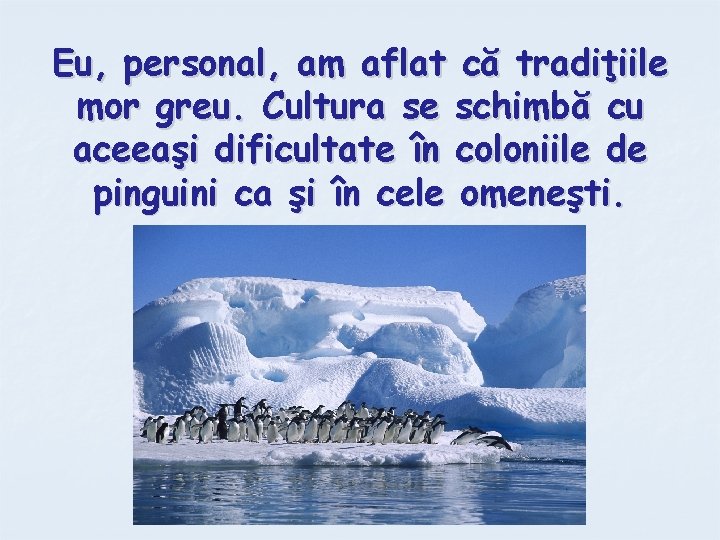 Eu, personal, am aflat că tradiţiile mor greu. Cultura se schimbă cu aceeaşi dificultate