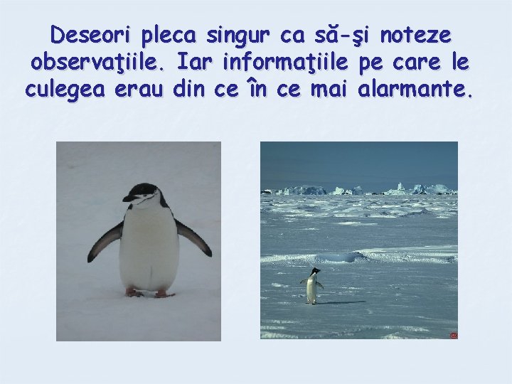 Deseori pleca singur ca să-şi noteze observaţiile. Iar informaţiile pe care le culegea erau