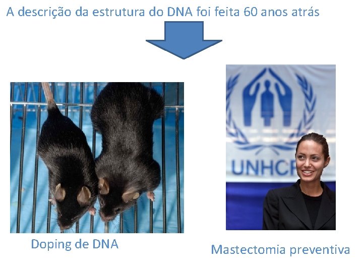 A descrição da estrutura do DNA foi feita 60 anos atrás Doping de DNA