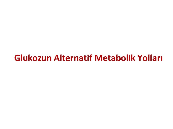 Glukozun Alternatif Metabolik Yolları 