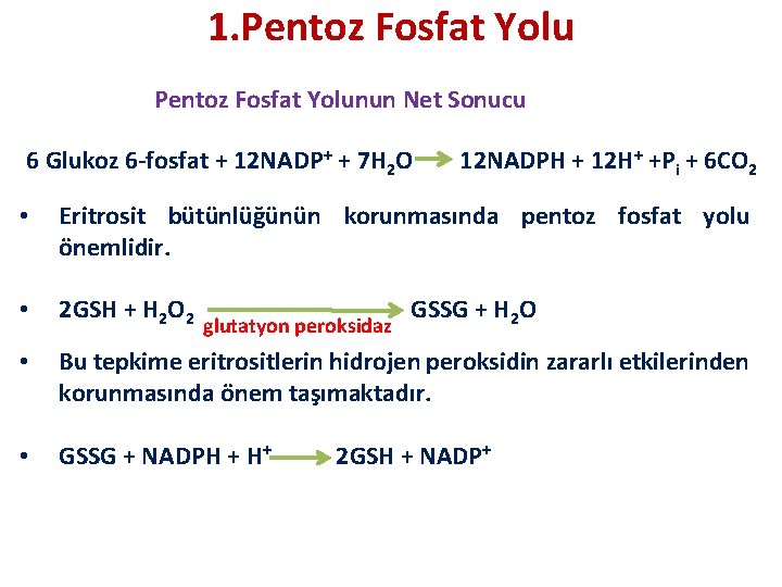 1. Pentoz Fosfat Yolunun Net Sonucu 6 Glukoz 6 -fosfat + 12 NADP+ +