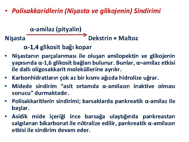  • Polisakkaridlerin (Nişasta ve glikojenin) Sindirimi α-amilaz (pityalin) Nişasta Dekstrin + Maltoz α-1,